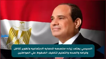 السيسي يعتمد زيادة مخصصة للحماية الاجتماعية وتطوير تكافل وكرامة والصحة والتعليم لتخفيف الضغوط على المواطنين